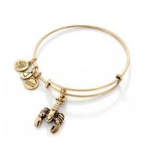 Alex and Ani Gold Tone Charm Bangle
